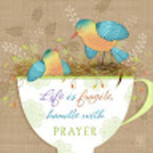 Meet your Posher, Tammy